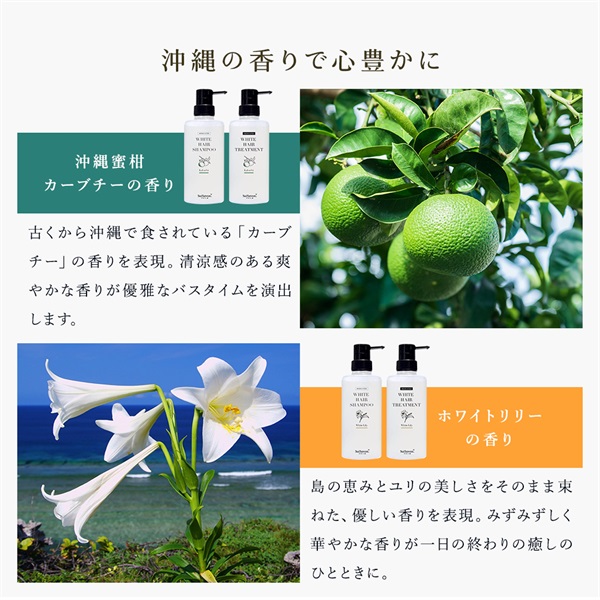 【期間限定】薬用ヘア＆ボディケアセット 詳細画像