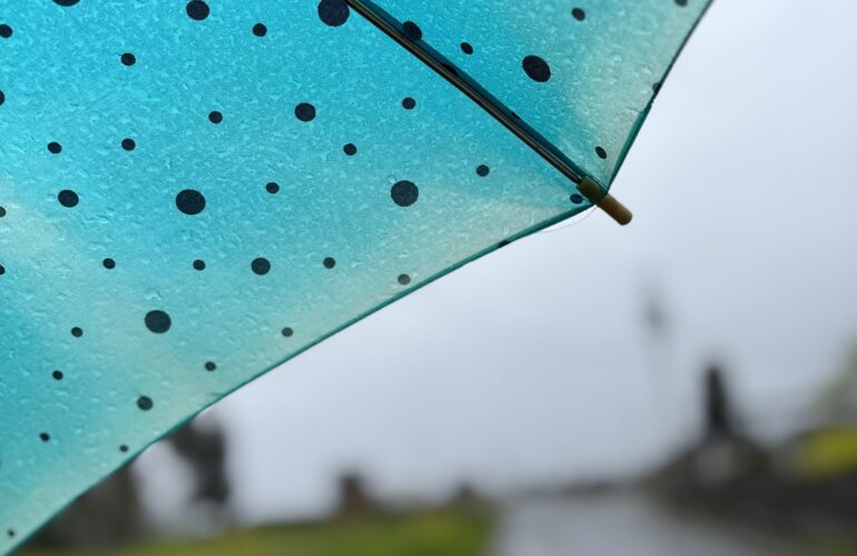 首里散歩 Vol.450 雨の日こそ沖縄