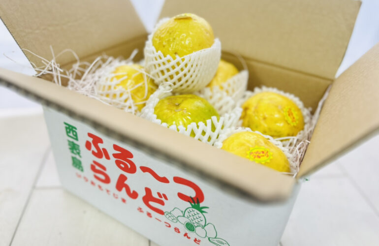 首里散歩 Vol.455 島からの恵みとご縁